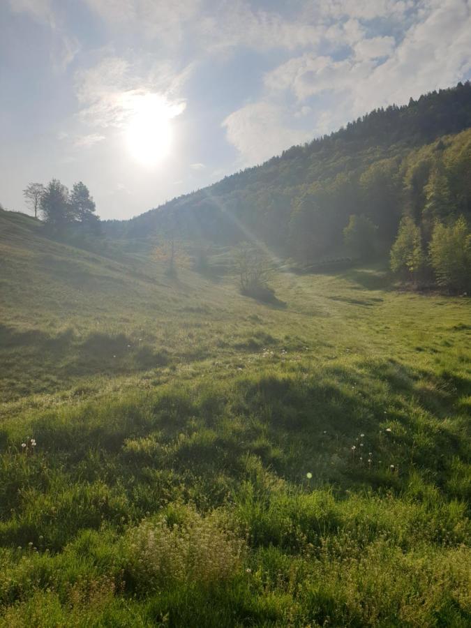 Agreable Chambre D'Hotes, Au Calme, Dans La Nature Roches Экстерьер фото