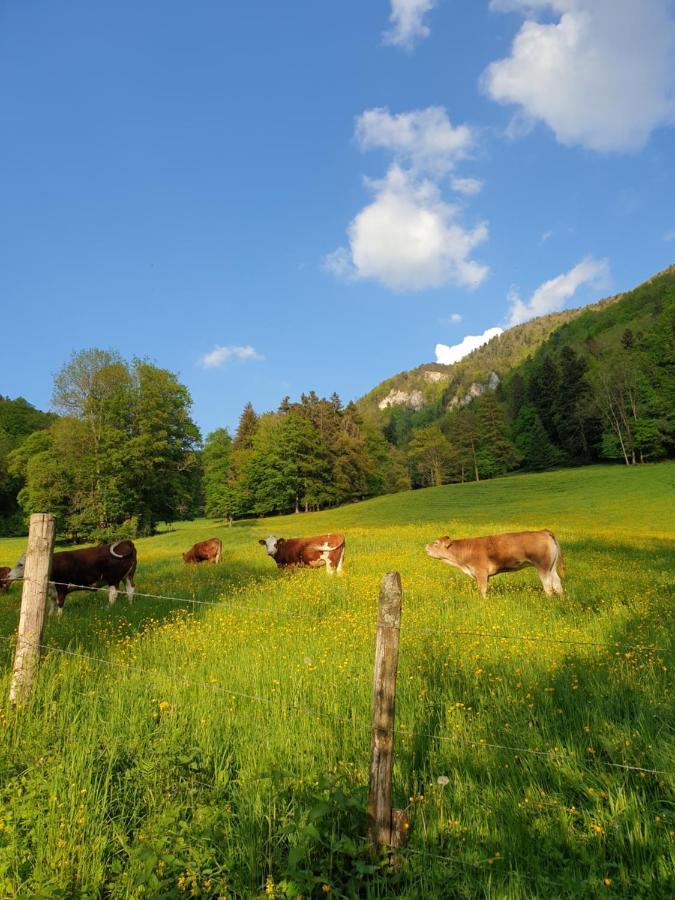 Agreable Chambre D'Hotes, Au Calme, Dans La Nature Roches Экстерьер фото