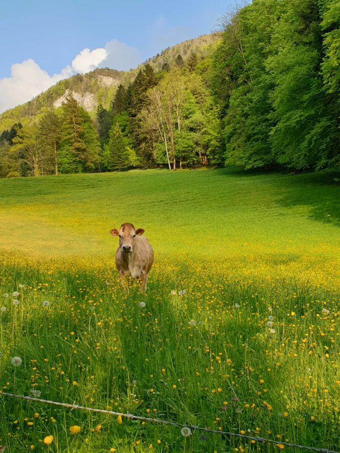 Agreable Chambre D'Hotes, Au Calme, Dans La Nature Roches Экстерьер фото